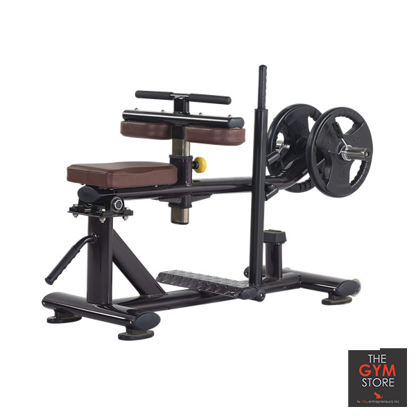 SB029 Seated Calf Machine